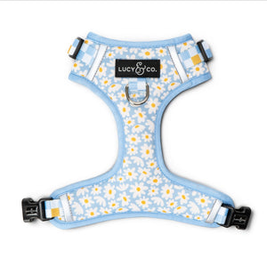 Lucy & Co. Simply Splendid no-pull dog harness in light blue with a white and yellow daisy print and mesh lining.
