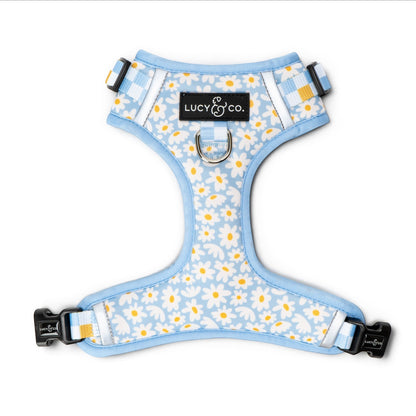 Lucy & Co. Simply Splendid no-pull dog harness in light blue with a white and yellow daisy print and mesh lining.
