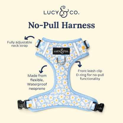 Lucy & Co. Simply Splendid daisy print neoprene no-pull dog harness with adjustable straps and front leash D-ring