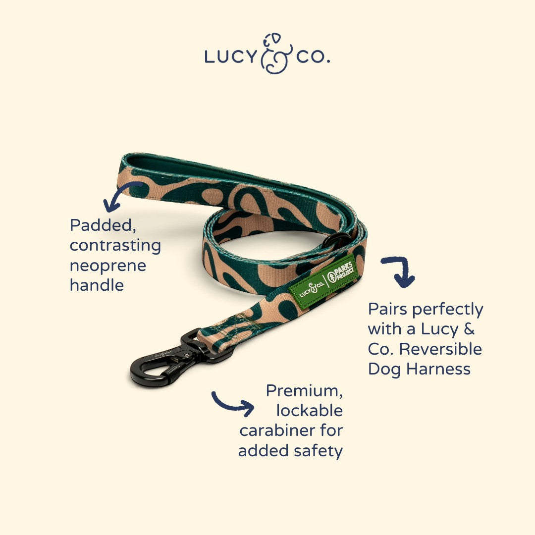Lucy & Co. x Parks Project Geyser dog leash with tan and green print, padded neoprene handle, and lockable carabiner.