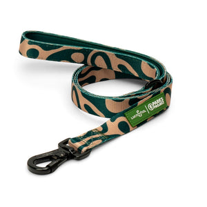 Lucy & Co. x Parks Project Geyser dog leash with green and tan abstract print, padded handle, and lockable carabiner.