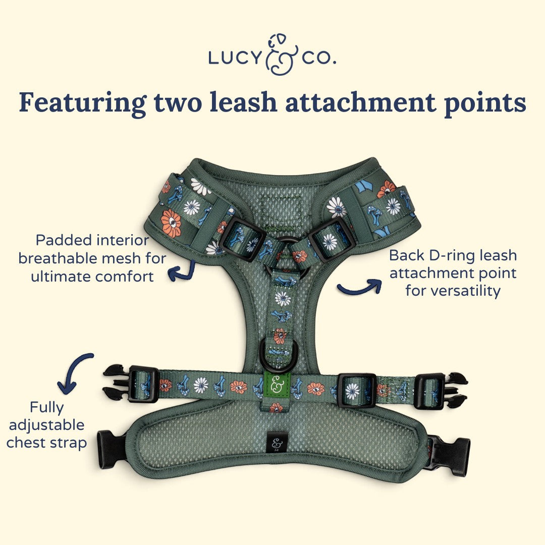 Lucy & Co. x Parks Project green floral no-pull dog harness with breathable mesh and dual leash attachment points.
