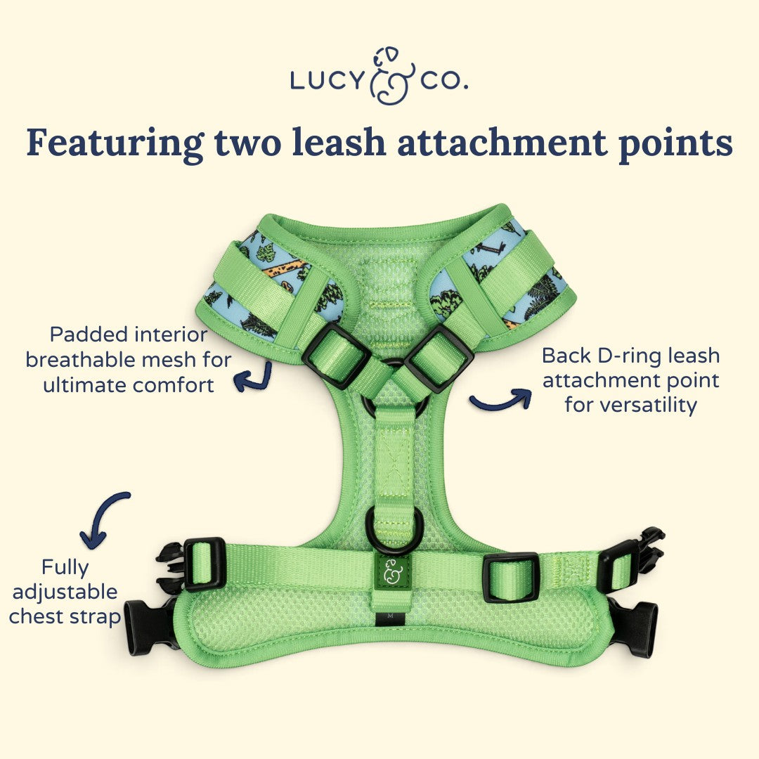 Lucy & Co. x Parks Project green neoprene no-pull dog harness with adjustable straps and dual leash attachment points.