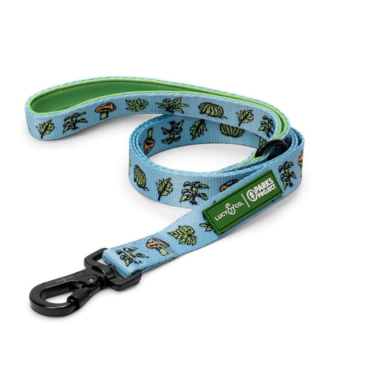 Lucy & Co. Feel the Earth Breathe dog leash in light blue with nature print, green neoprene handle, and black clasp.