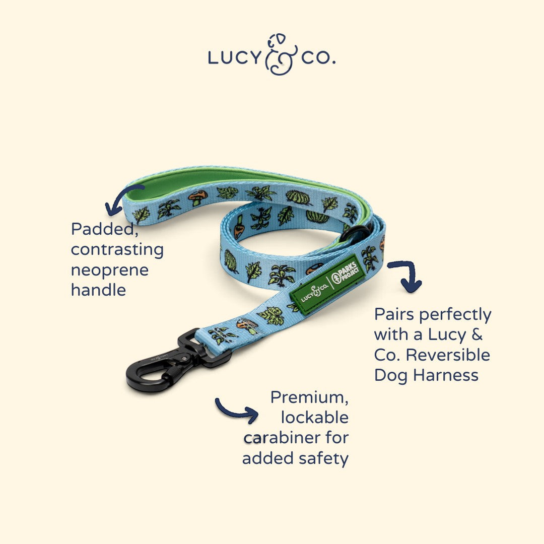 Lucy & Co. dog leash with blue nature print, green padded neoprene handle, and black lockable carabiner.