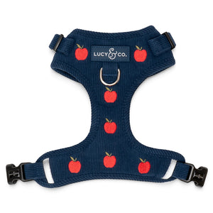 Lucy & Co. navy blue corduroy dog harness featuring a red apple print, front leash attachment, and adjustable straps.