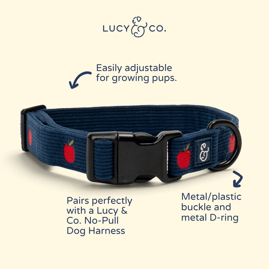 Lucy & Co. navy blue corduroy dog collar with red apple print, black buckle, and metal D-ring.