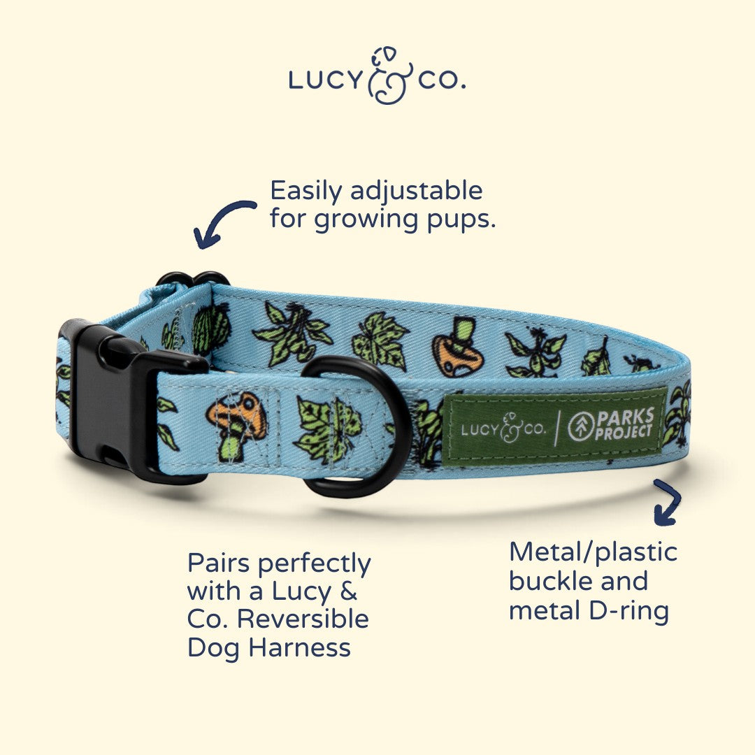 Lucy & Co. x Parks Project light blue dog collar with nature-themed mushroom and leaf print and black hardware.