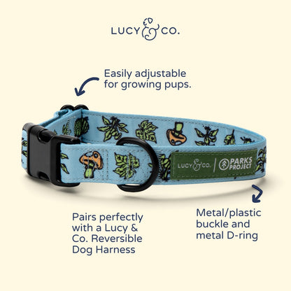 Lucy & Co. x Parks Project light blue dog collar with nature-themed mushroom and leaf print and black hardware.