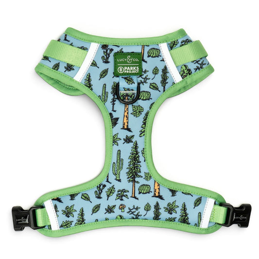 Lucy & Co. x Parks Project dog harness in light blue with a green nature print, featuring front and back D-rings.