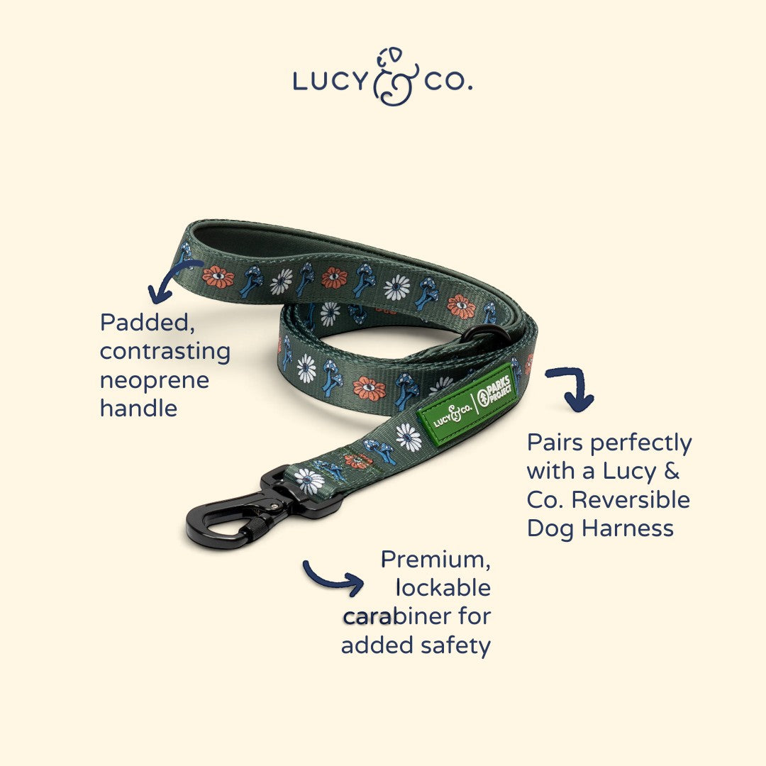 Lucy & Co. Power to the Parks dog leash in dark green with floral print, padded neoprene handle, and lockable clasp.