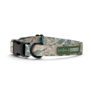 Lucy & Co. x Parks Project Sequoia Seedlings dog collar in forest green tree print with durable black hardware.