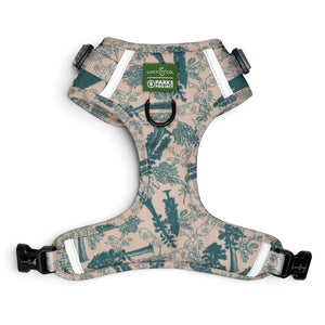 Lucy & Co. x Parks Project Sequoia Seedlings no-pull dog harness in beige with a green forest tree print.