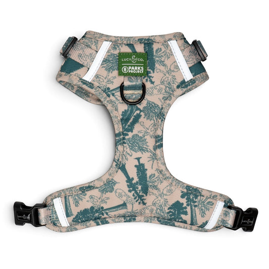 Lucy & Co. x Parks Project Sequoia Seedlings no-pull dog harness in beige with a green forest tree print.