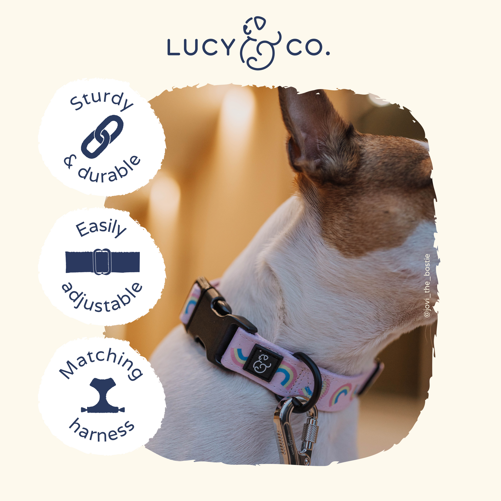 The Making Rainbows Collar Dog Collar Lucy & Co.