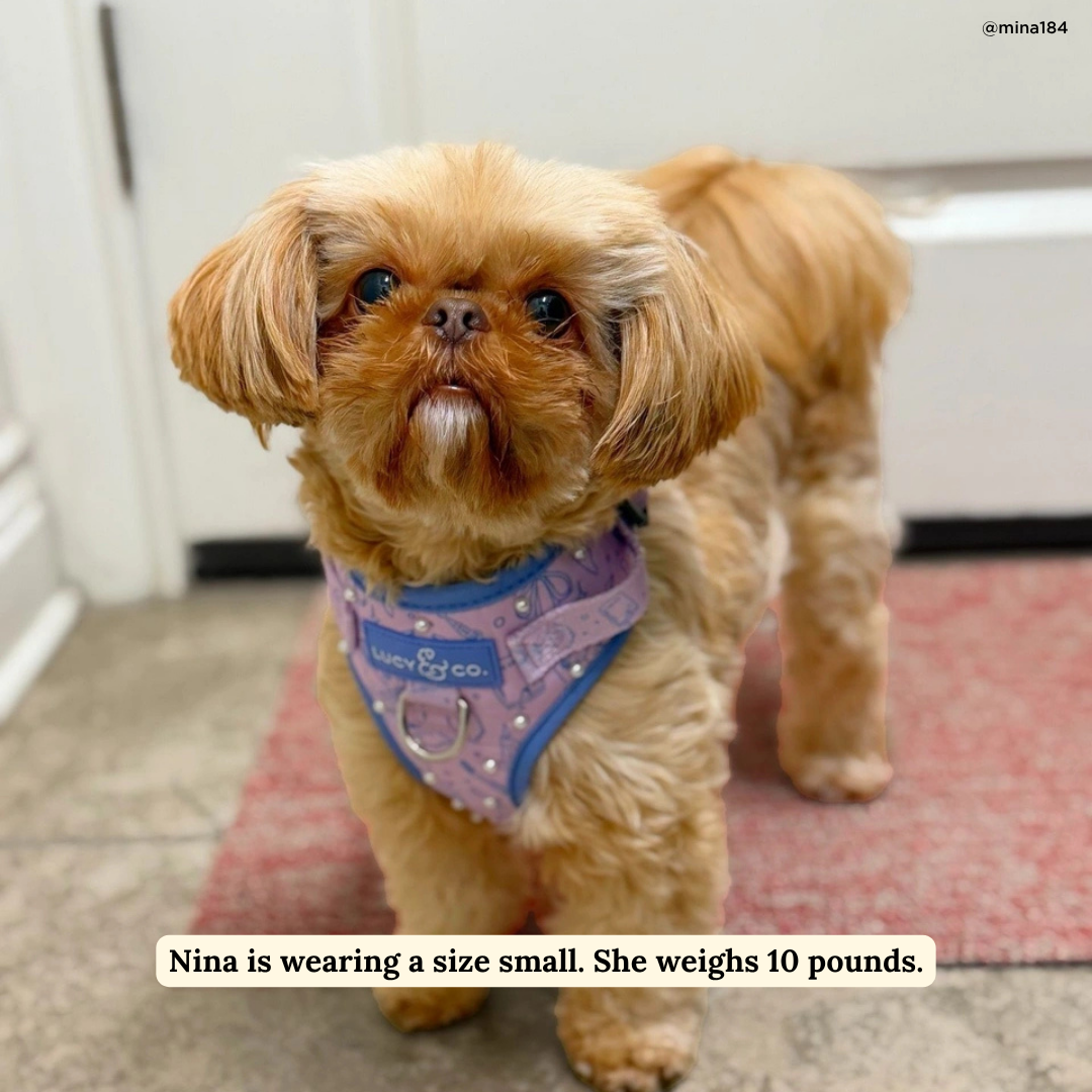 Magnificent Mermaids Pearl No-Pull Harness