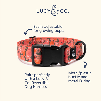 Posy Pink Collar