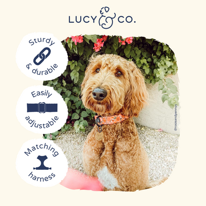 Posy Pink Collar