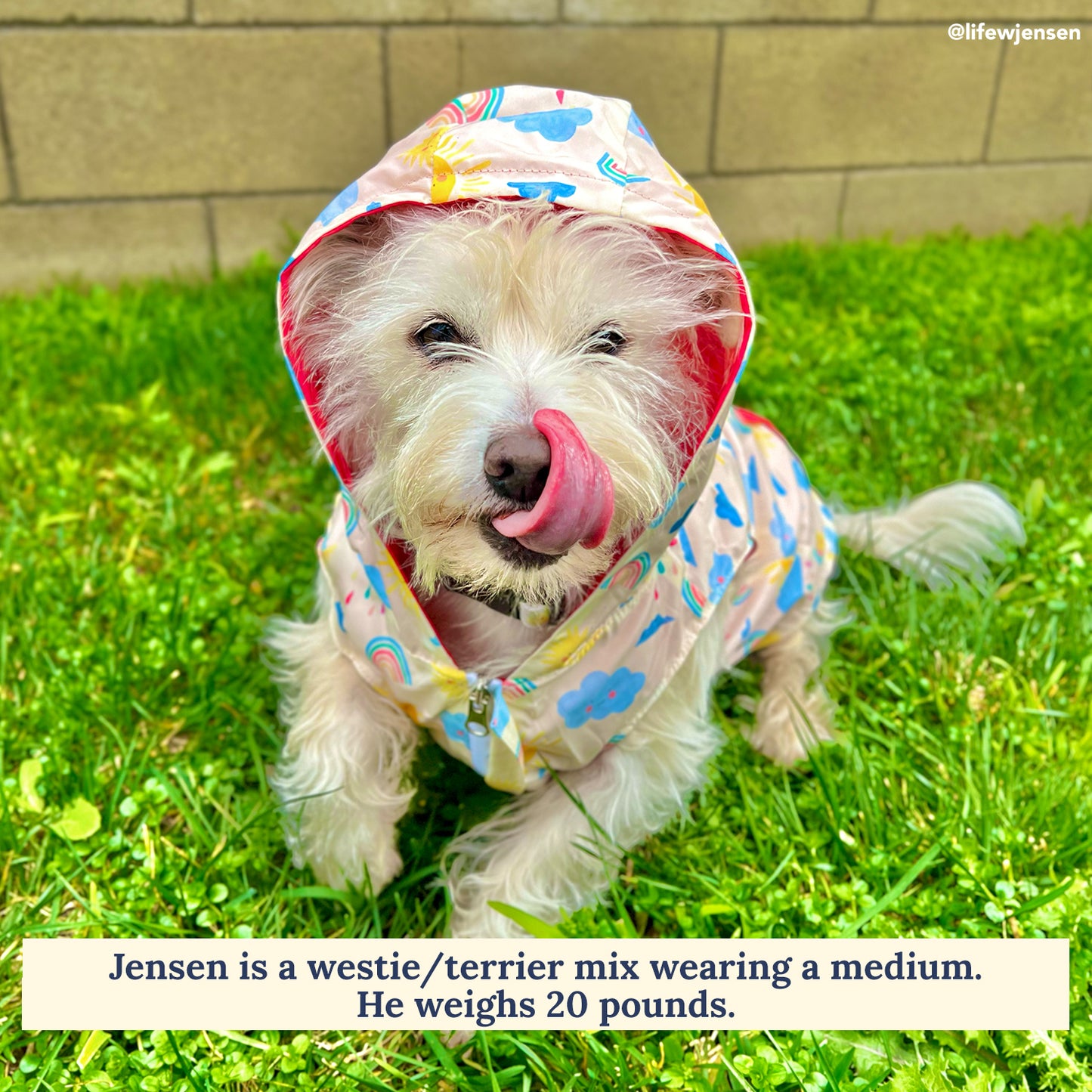 Rain or Shine Reversible Raincoat