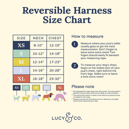 In the Clouds Reversible Harness
