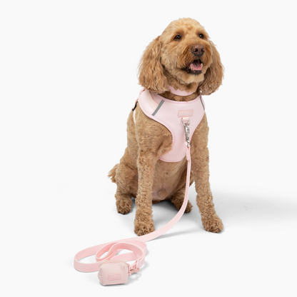 Rosewater Waterproof PVC Leash