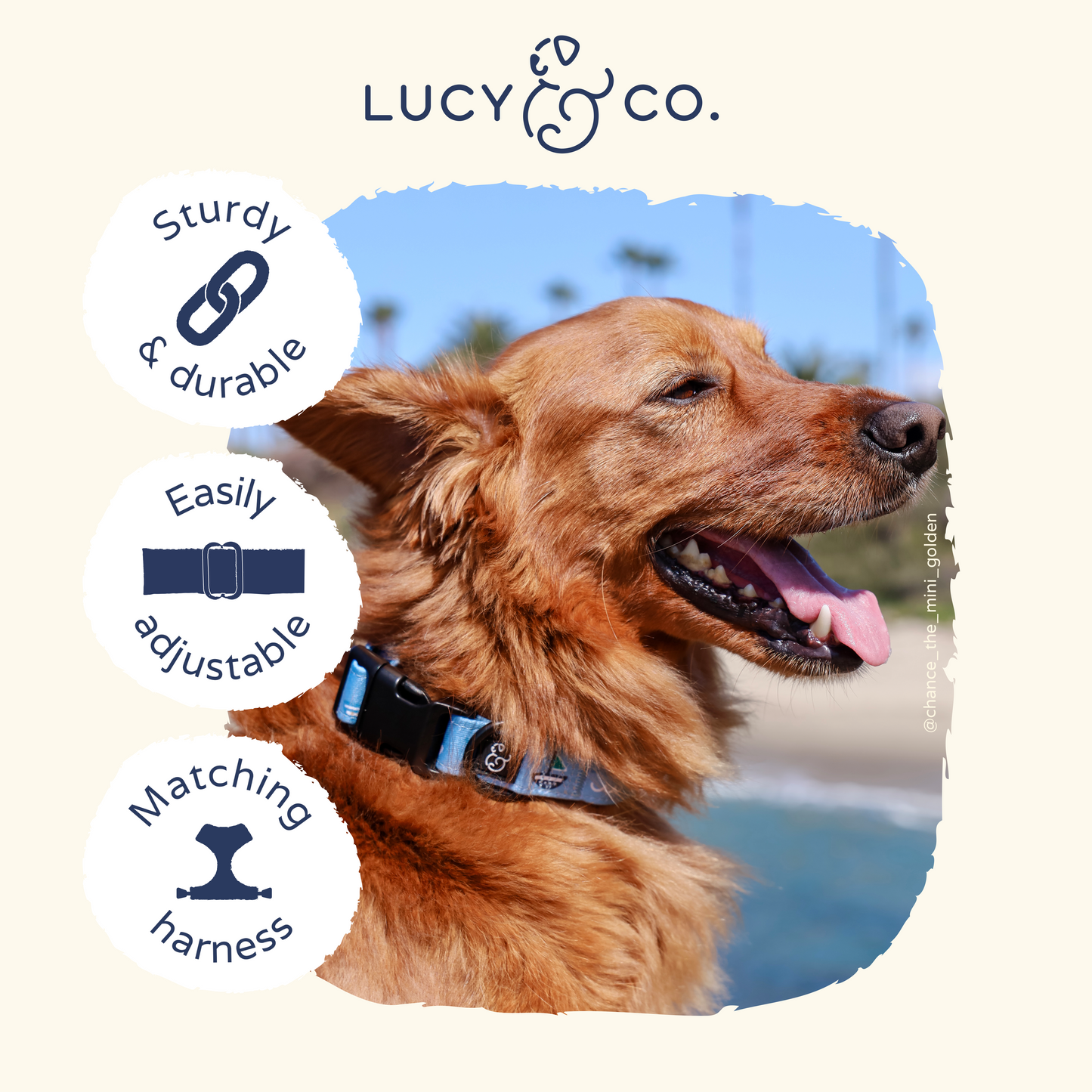 Set Sail Collar
