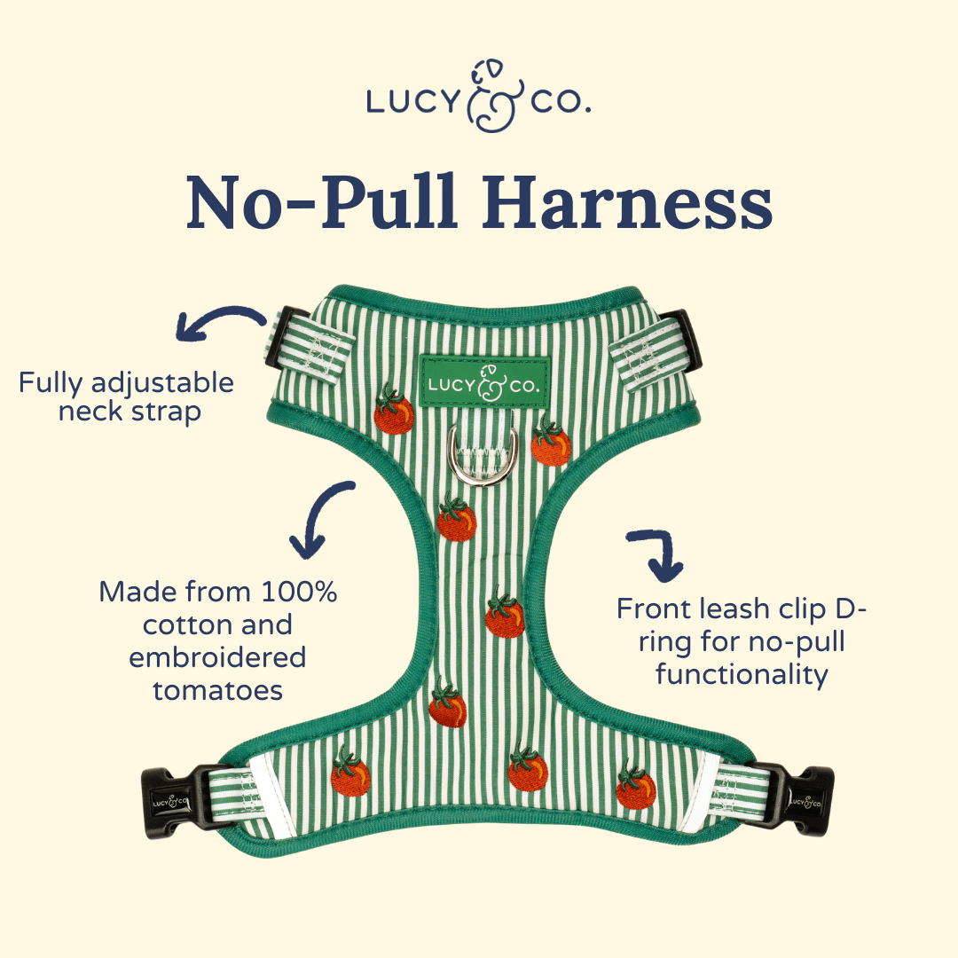Tomato, Tomahto Embroidered No-Pull Harness