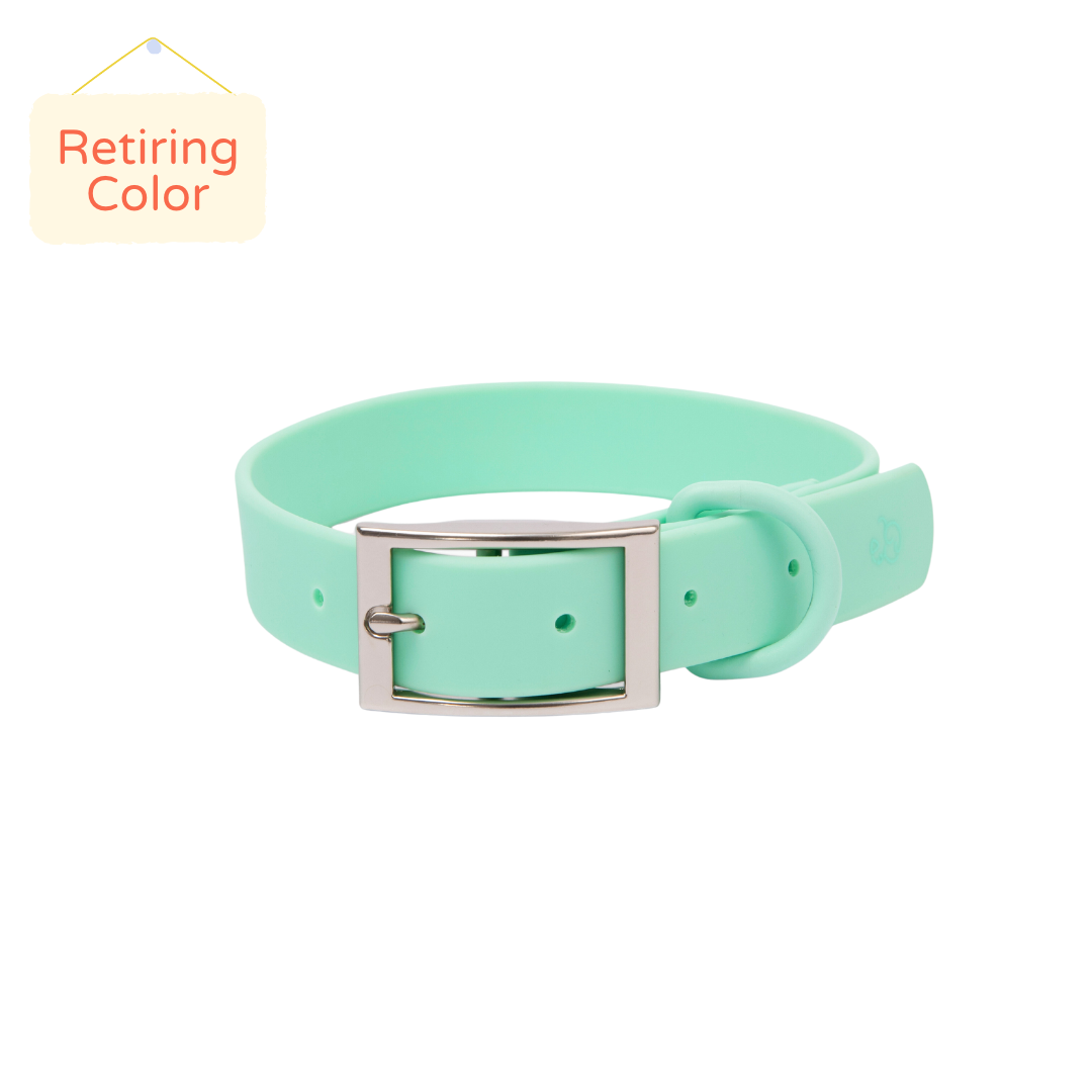 Mint Waterproof PVC Collar