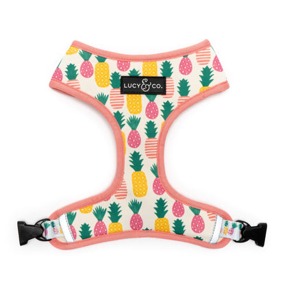 Poolside Chillin Reversible Harness