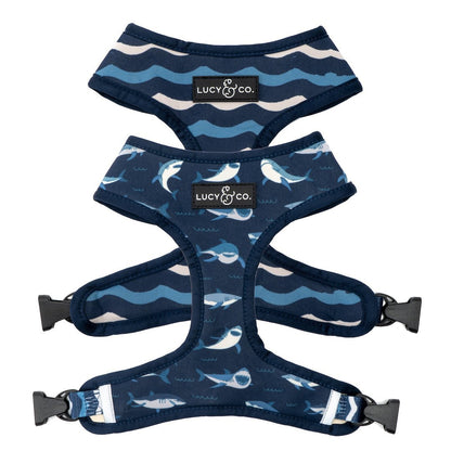 The Shark Attack Reversible Harness