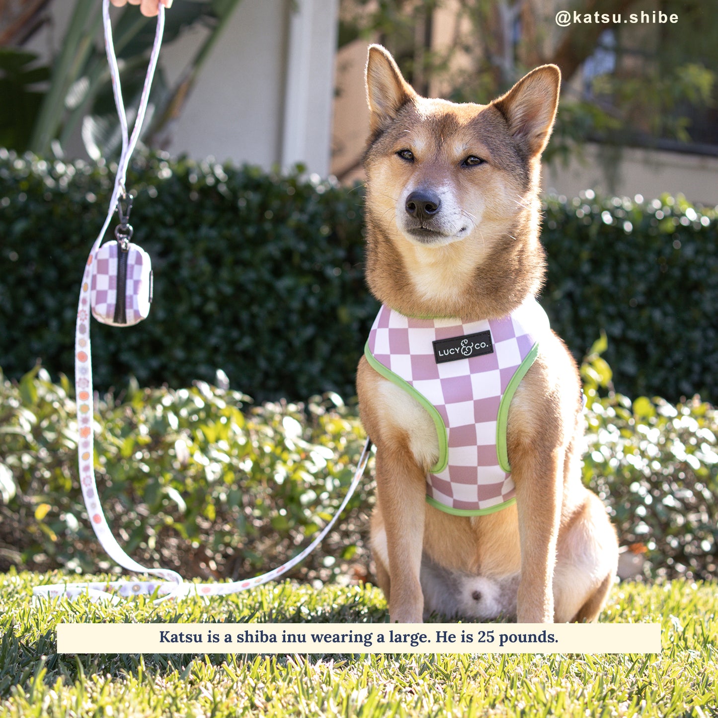 The Checked Out Reversible Harness