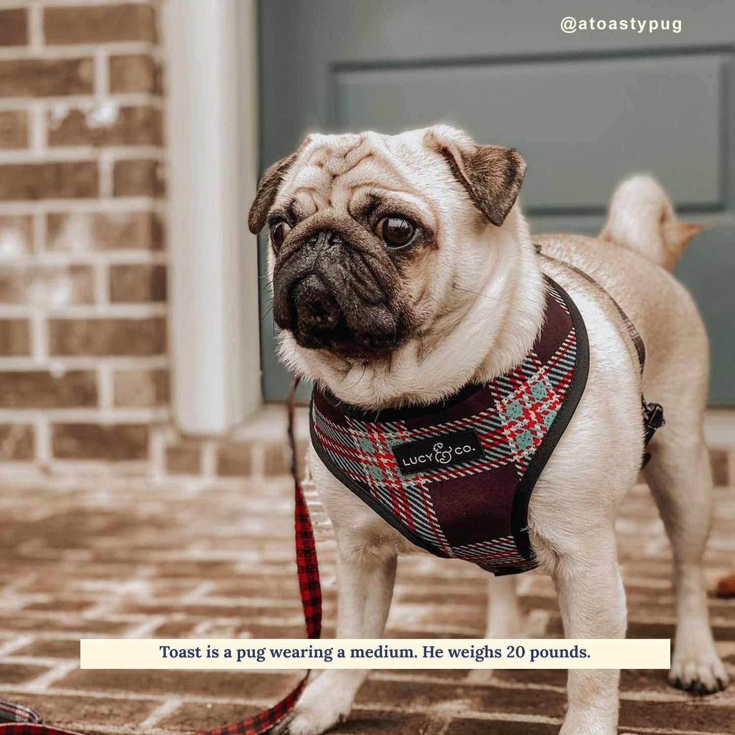 Holly Jolly Plaid Reversible Harness