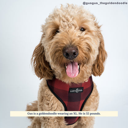 Holly Jolly Plaid Reversible Harness