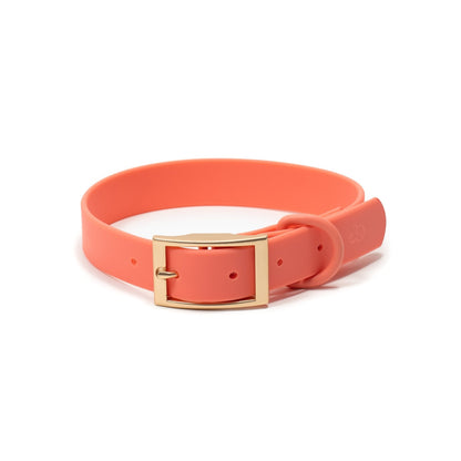 Coral Waterproof PVC Collar