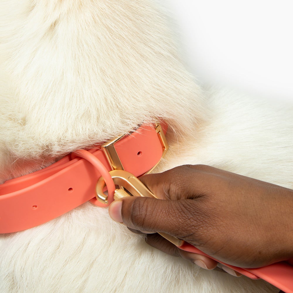 Coral Waterproof PVC Collar