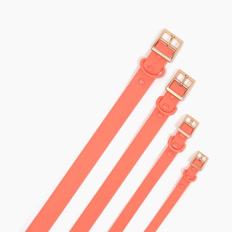 Coral Waterproof PVC Collar