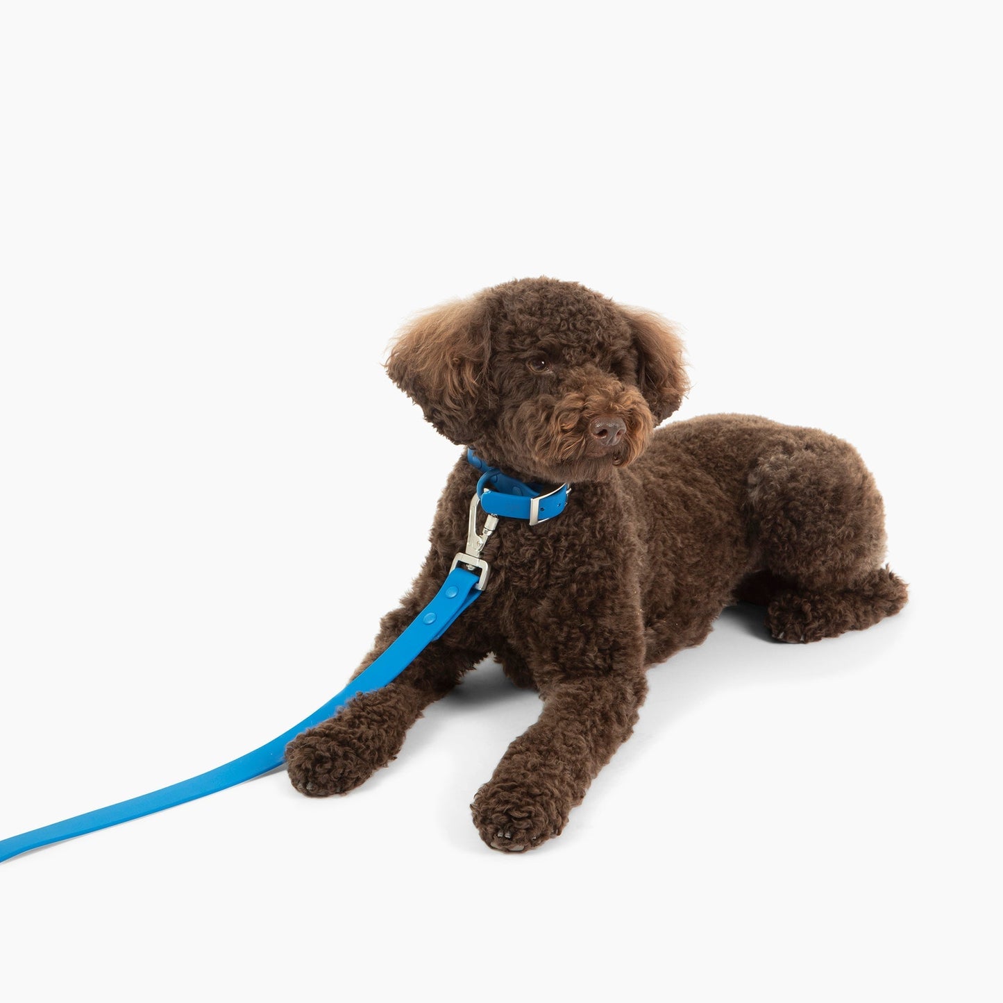 Indie Waterproof PVC Collar