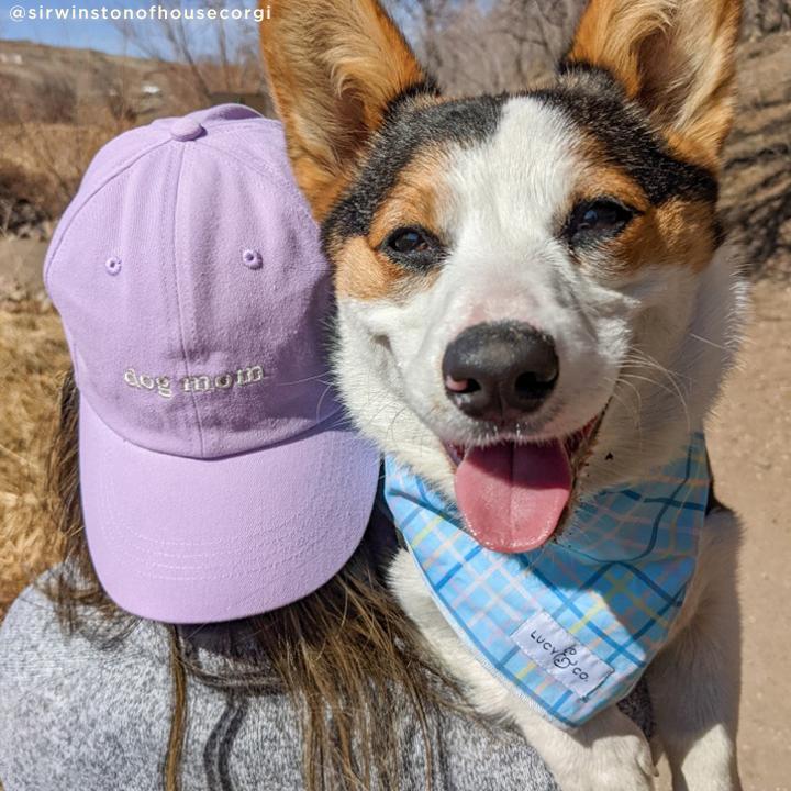 Neutral and stylish dog mom hat by Lucy & Co.