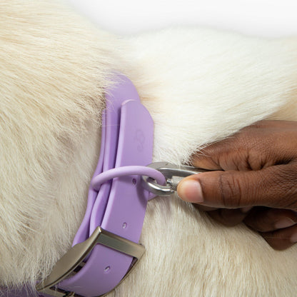 Lilac Waterproof PVC Leash
