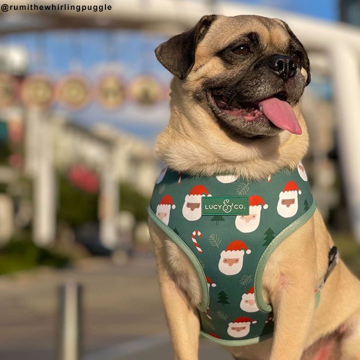 Santa Land Reversible Harness