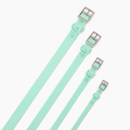 Mint Waterproof PVC Collar