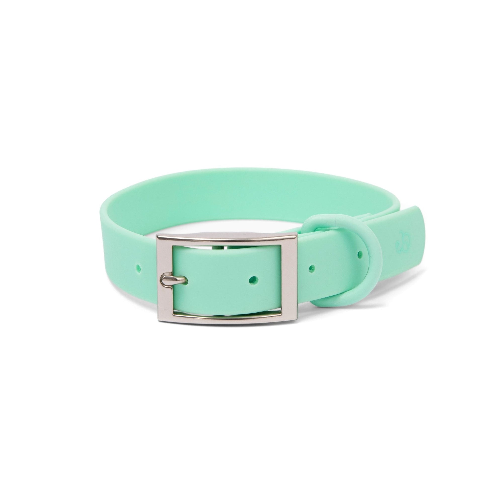 PoisePup Collar Desert Mint - Small