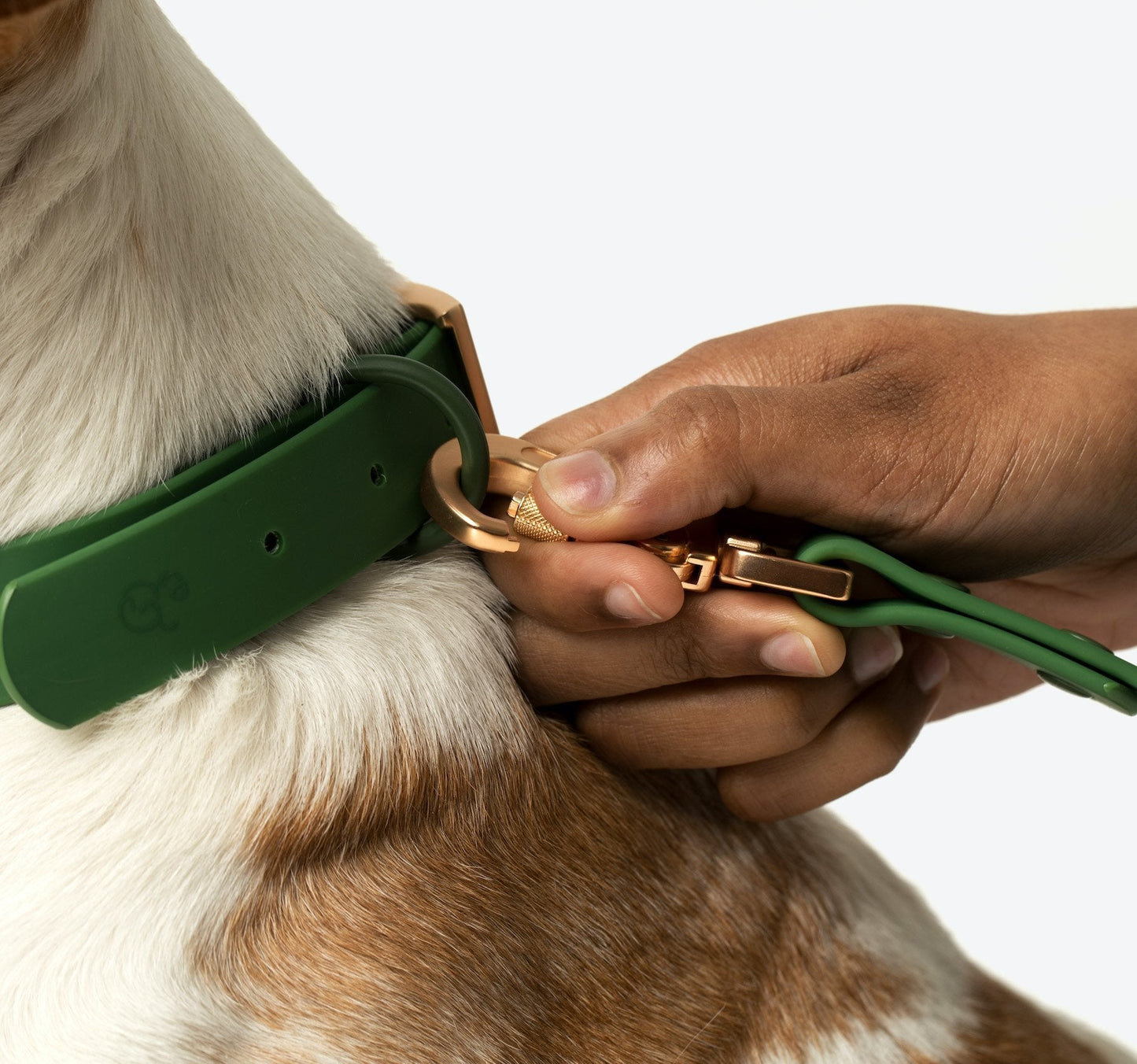 Water-proof, easy to clean, PVC/biothane dog collar by Lucy & Co.