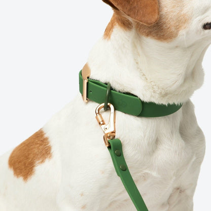 Water-proof, easy to clean, PVC/biothane dog collar by Lucy & Co.