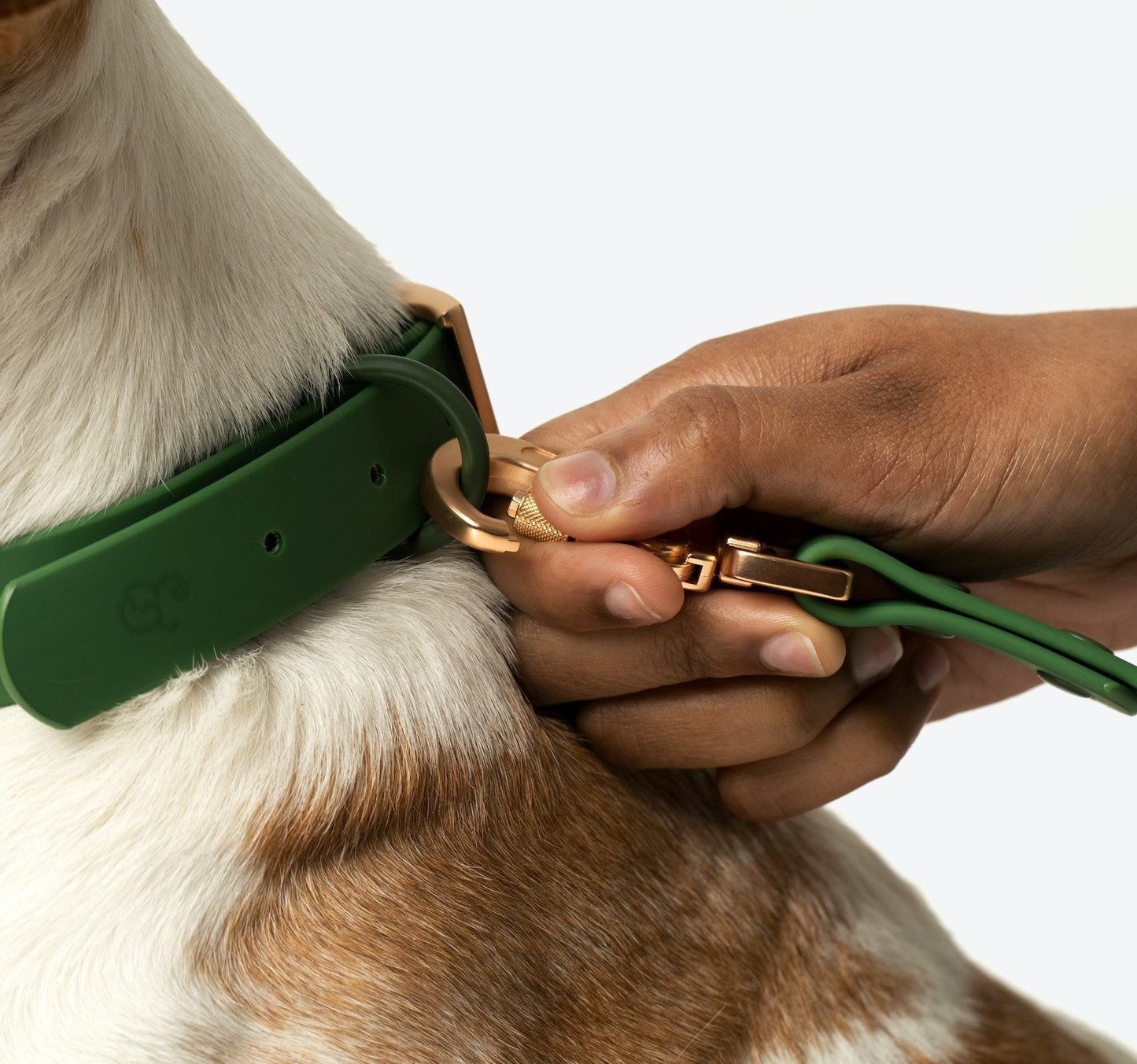 Water-proof, easy to clean, PVC/biothane dog leash by Lucy & Co.