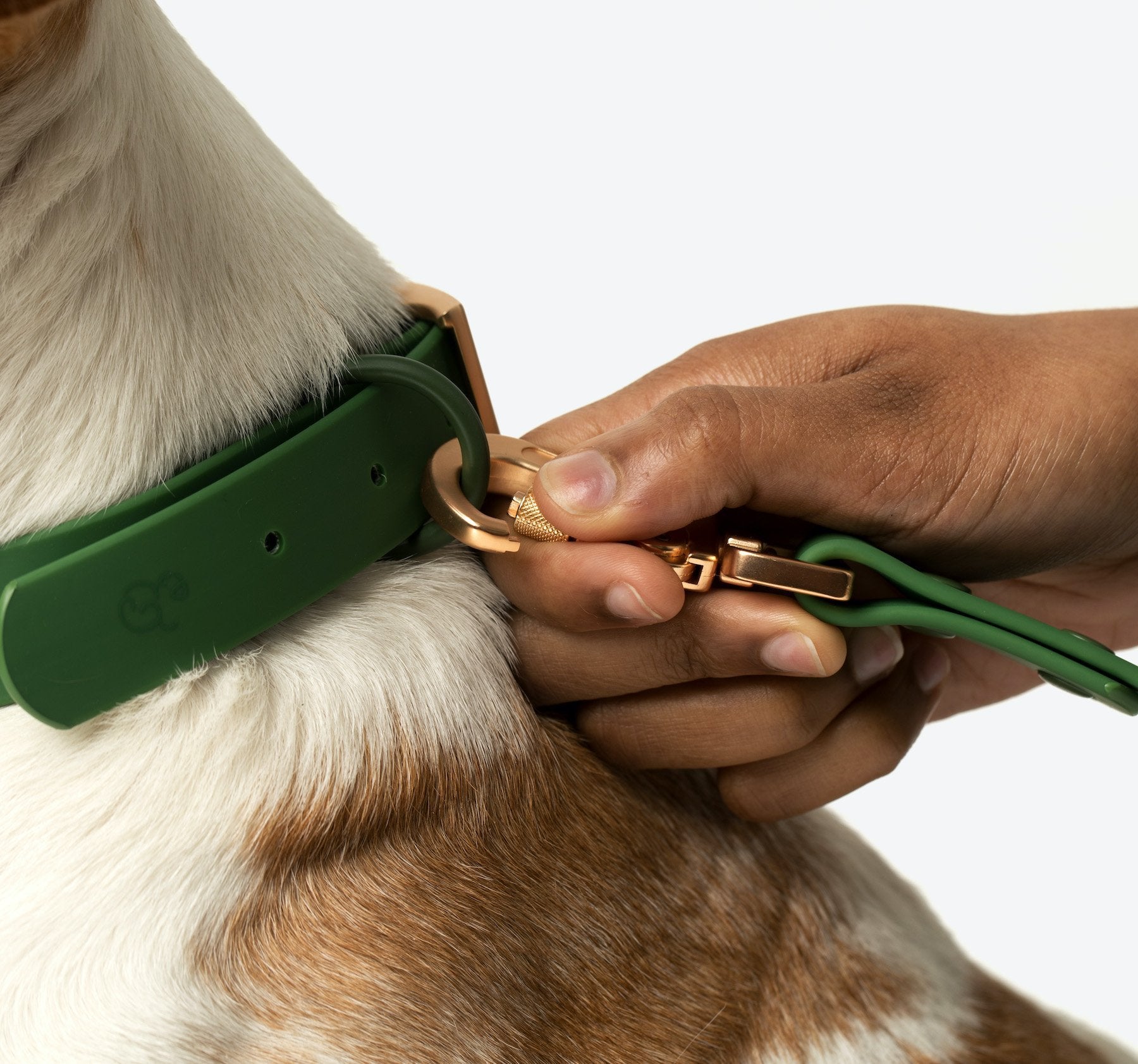 Water-proof, easy to clean, PVC/biothane dog leash by Lucy & Co.