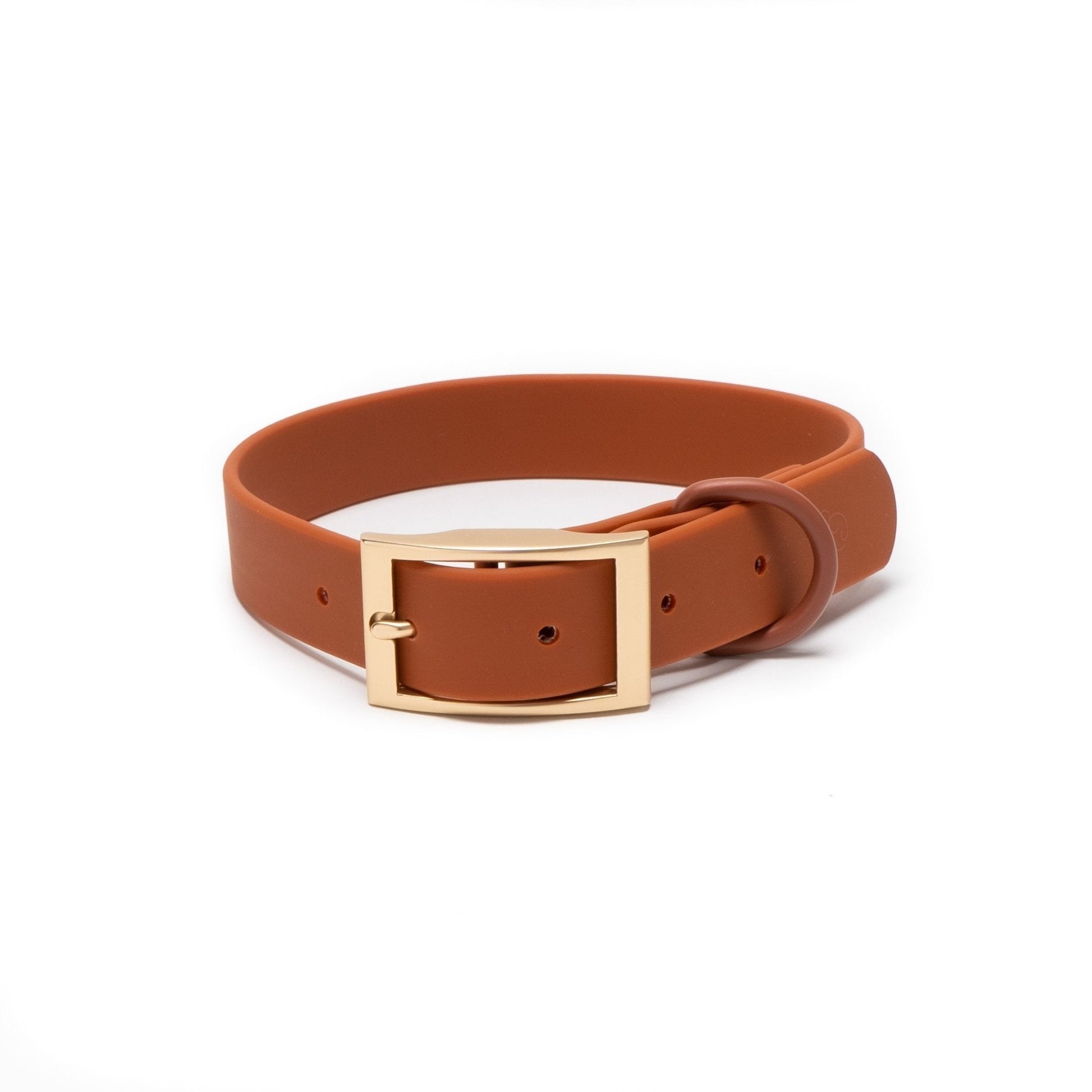 Terracotta Waterproof Dog Collar  Odor-Proof & Weather Resistant – Lucy &  Co.