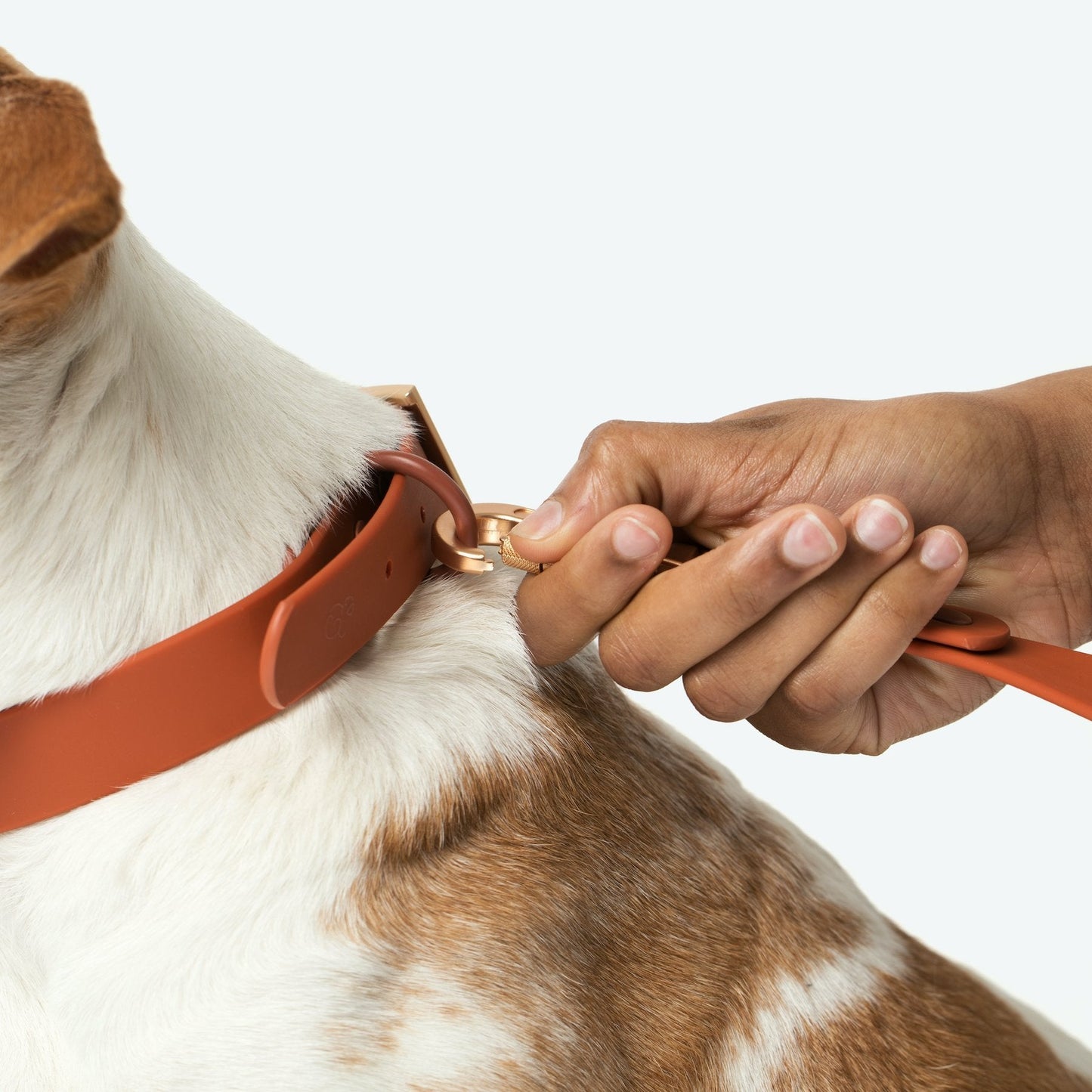 Water-proof, easy to clean, PVC/biothane dog collar by Lucy & Co.
