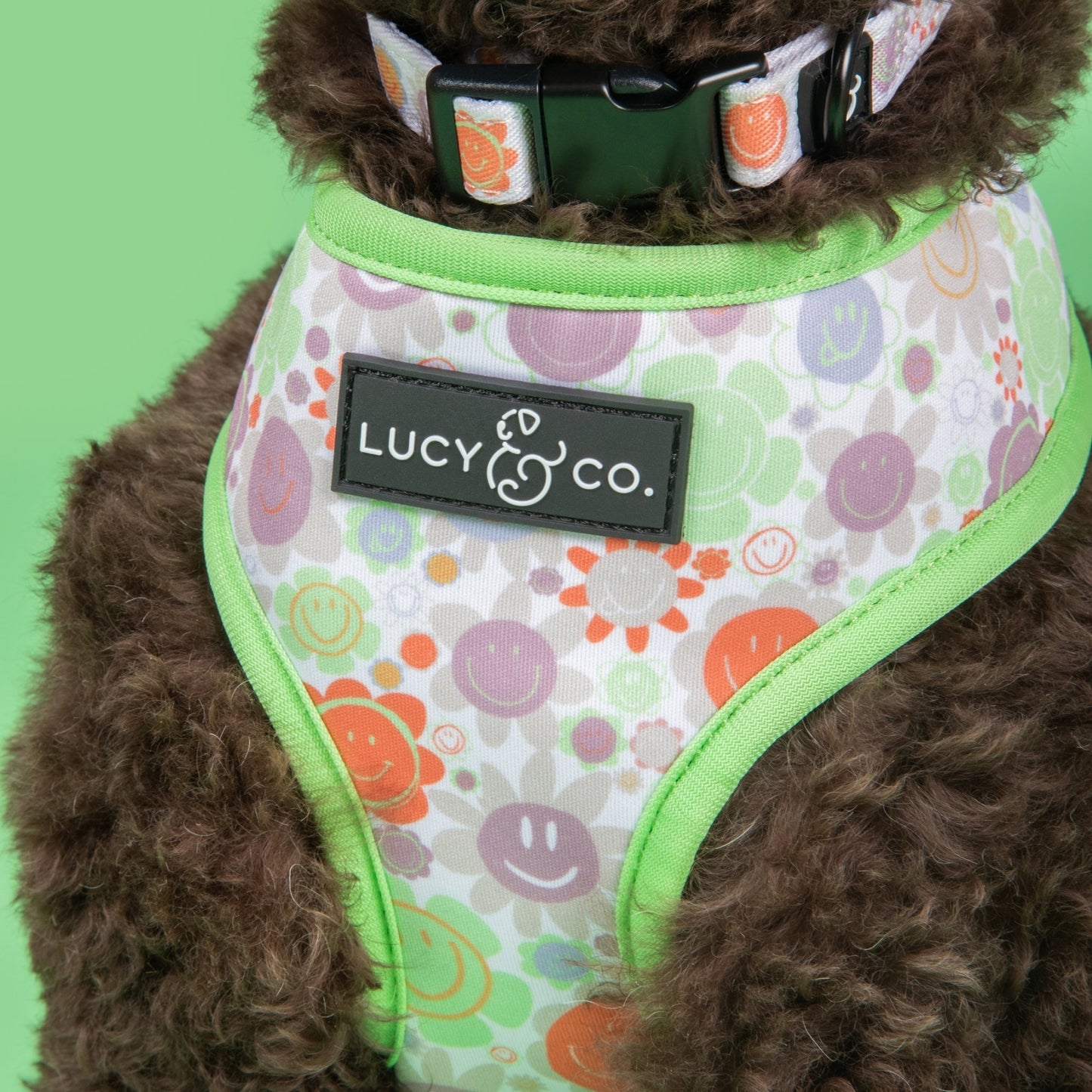 The Checked Out Reversible Harness