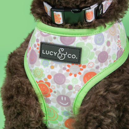 The Checked Out Reversible Harness